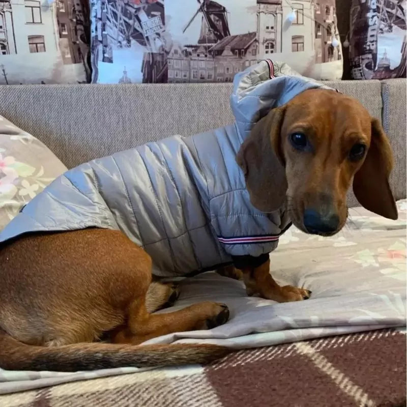 FurFluff Cozy Dachshund Puffer Jacket