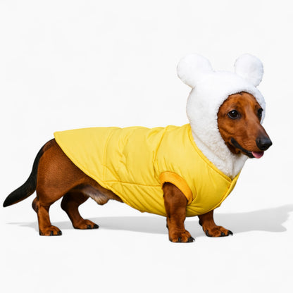 FurHaven-Dachshund-Bear-Ear-Jacket.jpg