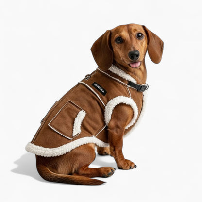 FurLox-Dachshund-Sherpa-Winter-Vest.jpg
