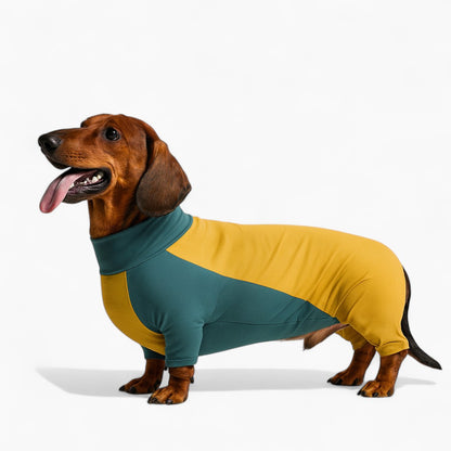 FurShield-Dachshund-Protective-Suit.jpg