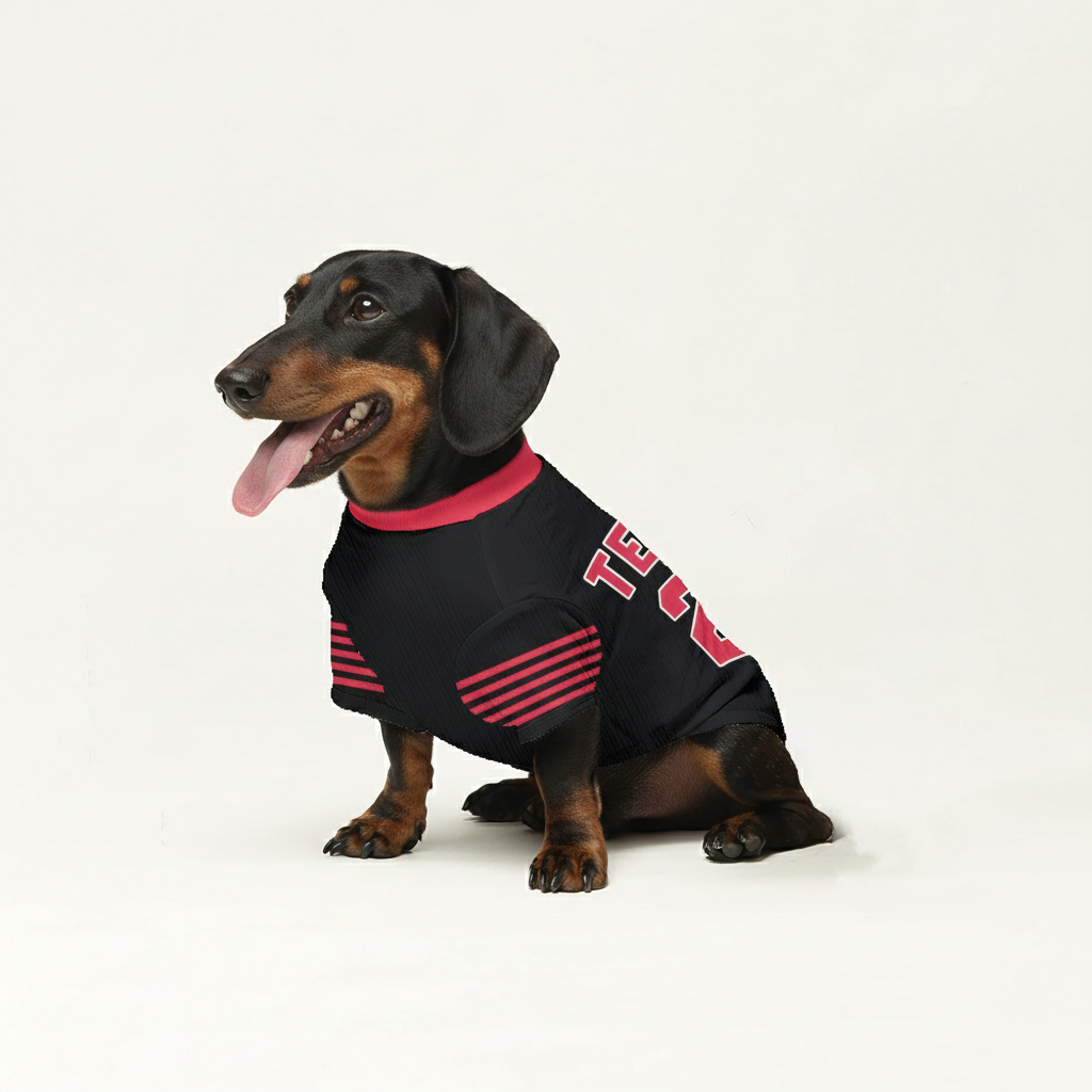 Zander - Personalized Wool Sweater for Doxie