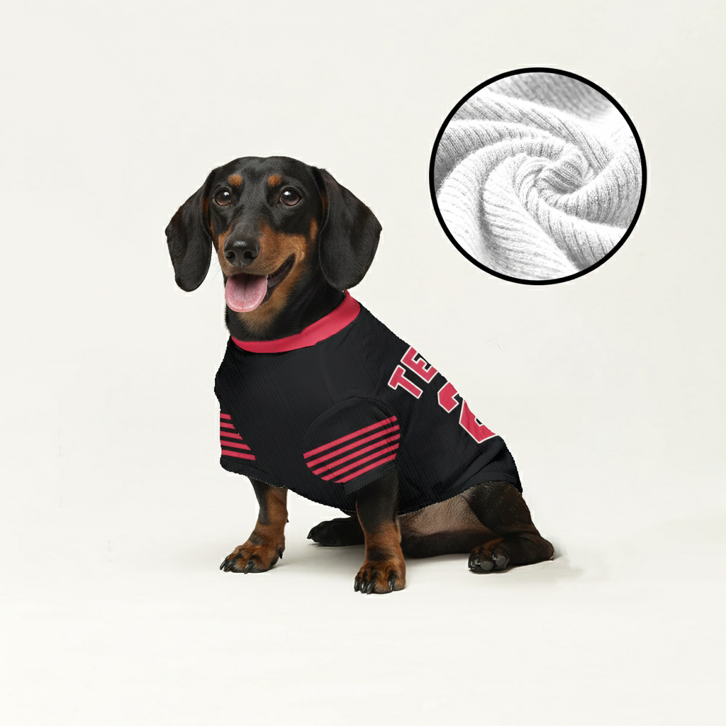 Zander - Personalized Wool Sweater for Doxie