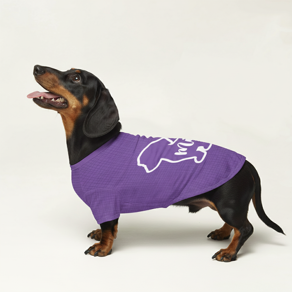 Hugo - Personalized Wool Sweater for Doxie