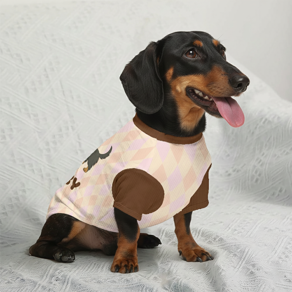Footie - Personalized Wool Sweater for Doxie