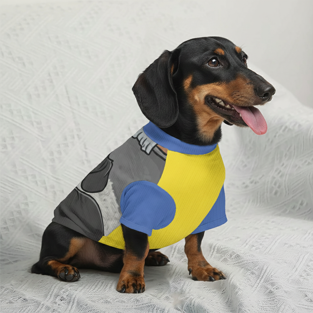 Ducky - Personalized Wool Sweater for Doxie