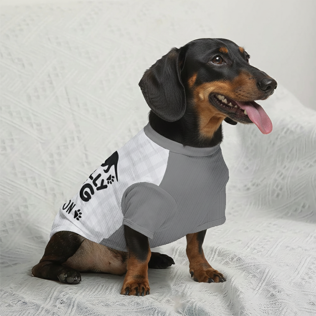 Coney - Personalized Wool Sweater for Doxie
