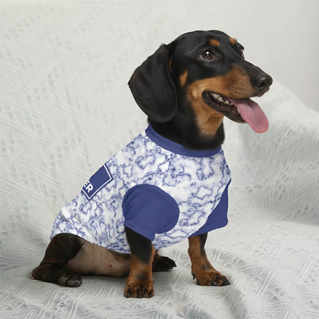 Lanky - Personalized Wool Sweater for Doxie