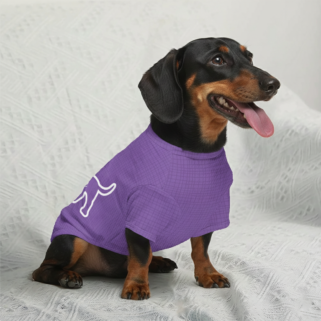 Hugo - Personalized Wool Sweater for Doxie