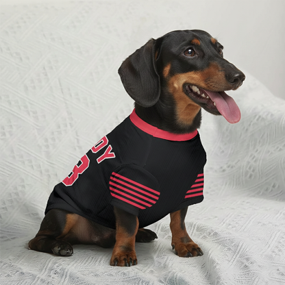 Zander - Personalized Wool Sweater for Doxie