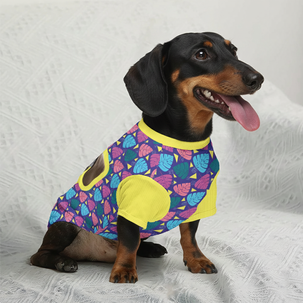 Kirby - Personalized Wool Sweater for Doxie