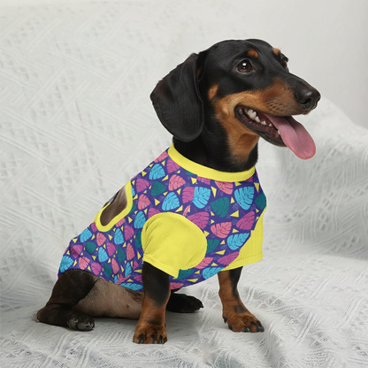 Kirby - Personalized Wool Sweater for Doxie