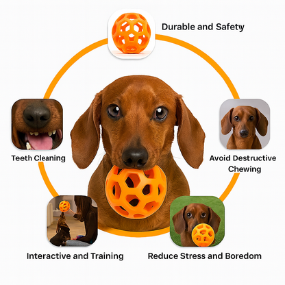 GeoPaw-Dachshund-Rubber-Ball.jpg
