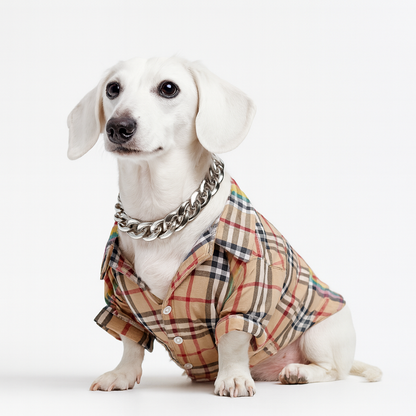 GlamBull-Dachshund-Gold-Necklace.jpg