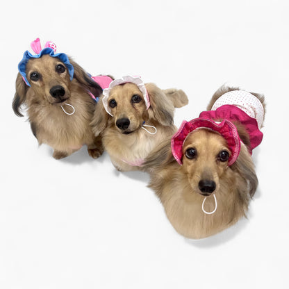 GlamPup-Dachshund-Ruffle-Dress-Set.jpg