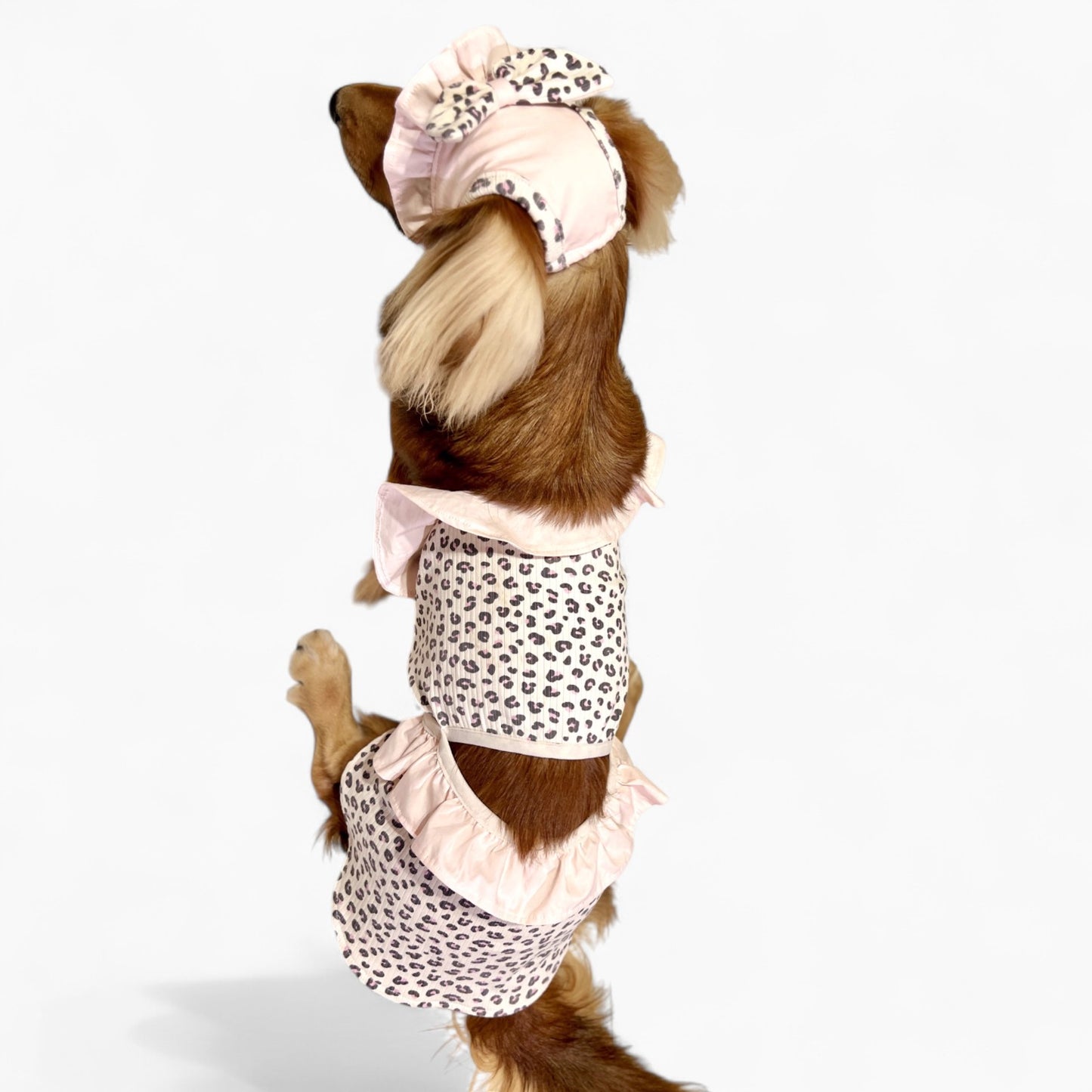 GlamPup-Dachshund-Ruffle-Dress-Set.jpg