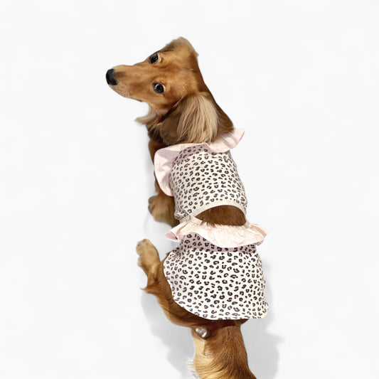 GlamPup-Dachshund-Ruffle-Dress-Set.jpg