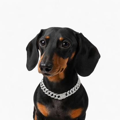 GlitzPet-Dachshund-Cuban-Diamond-Chain.jpg