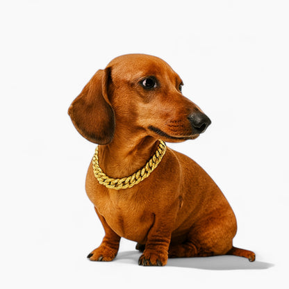 GlitzPet-Dachshund-Cuban-Diamond-Chain.jpg