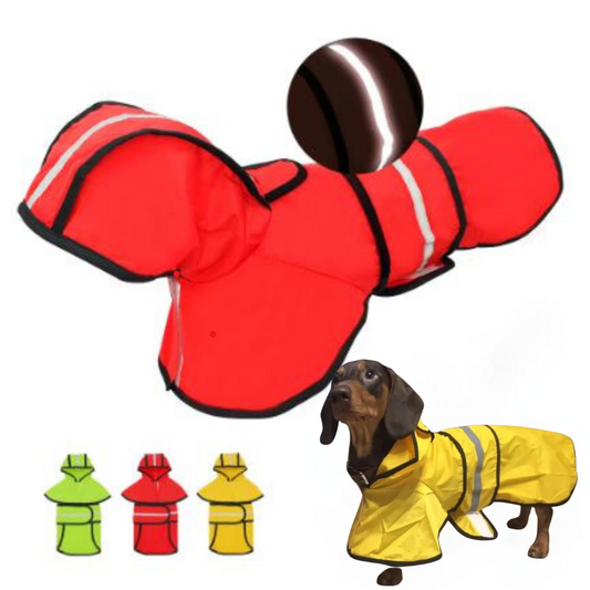 GlowPaw-Dachshund-Raincoat-Reflective-Waterproof-Safety-Doxie-Jacket-www.doxie.us