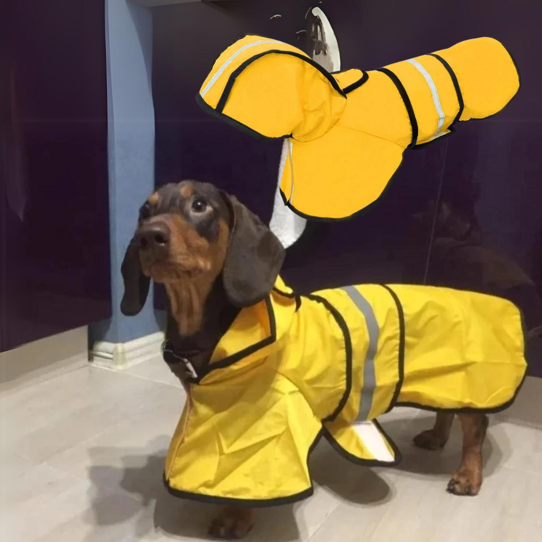 GlowPaw-Dachshund-Raincoat-Reflective-Waterproof-Safety-Doxie-Jacket-www.doxie.us