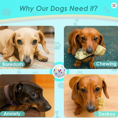 Gnawlix-Dachshund-Ball-Toy.jpg