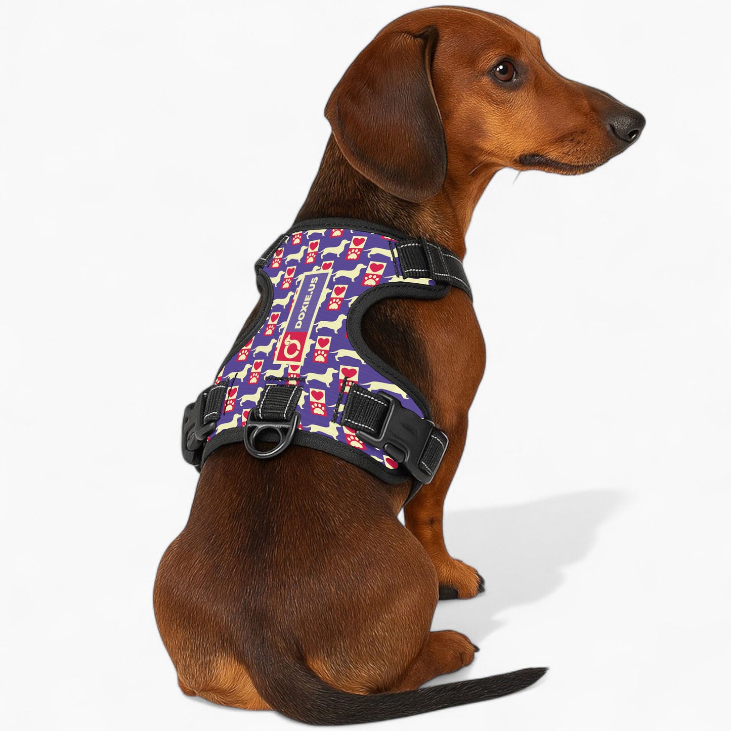 Bella -  No-Pull Dachshund Dog Harness