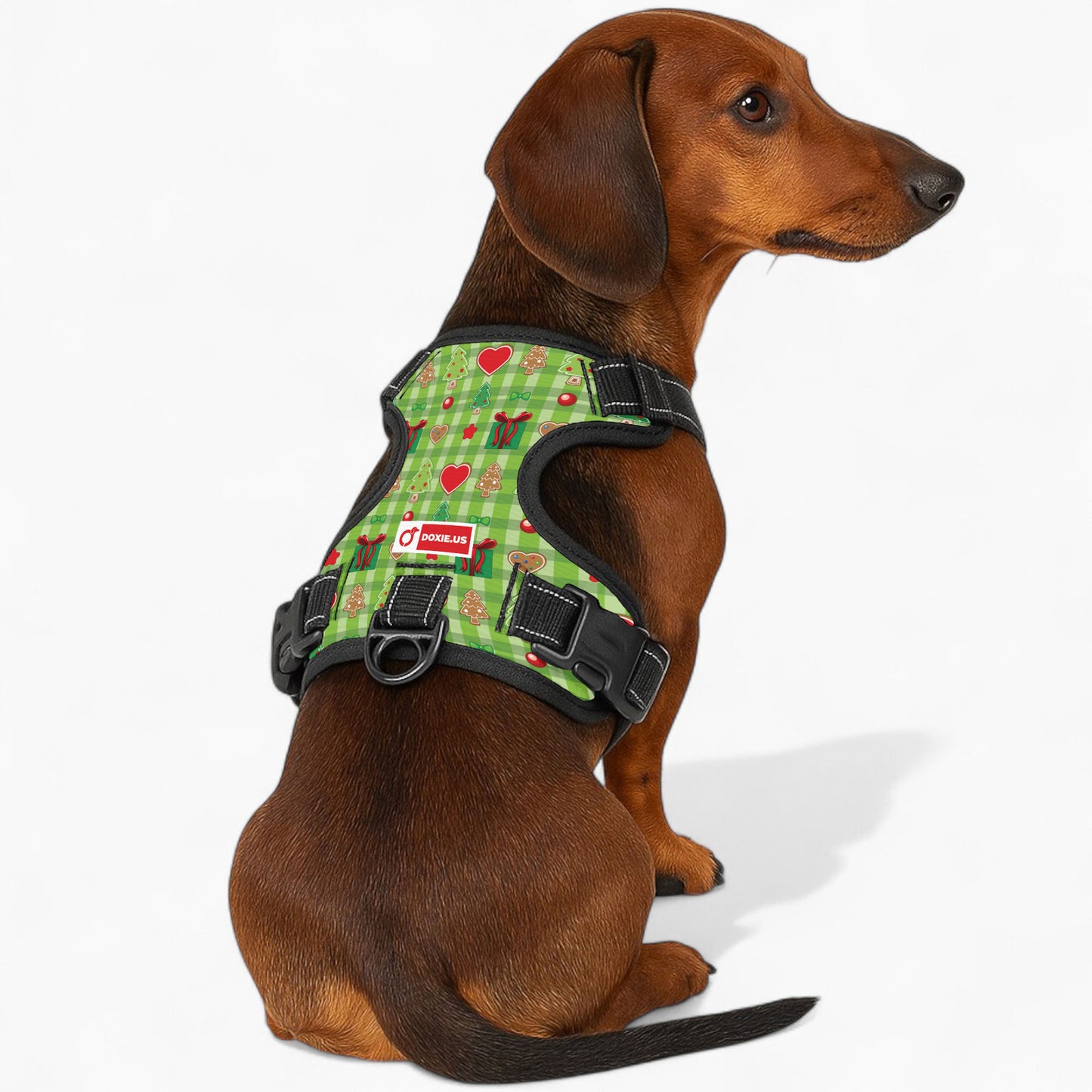 Alex -  No-Pull Dachshund Dog Harness