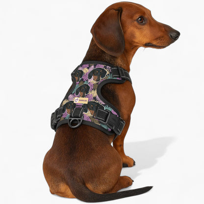 Earl -  Personalized No-Pull Dachshund Dog Harness