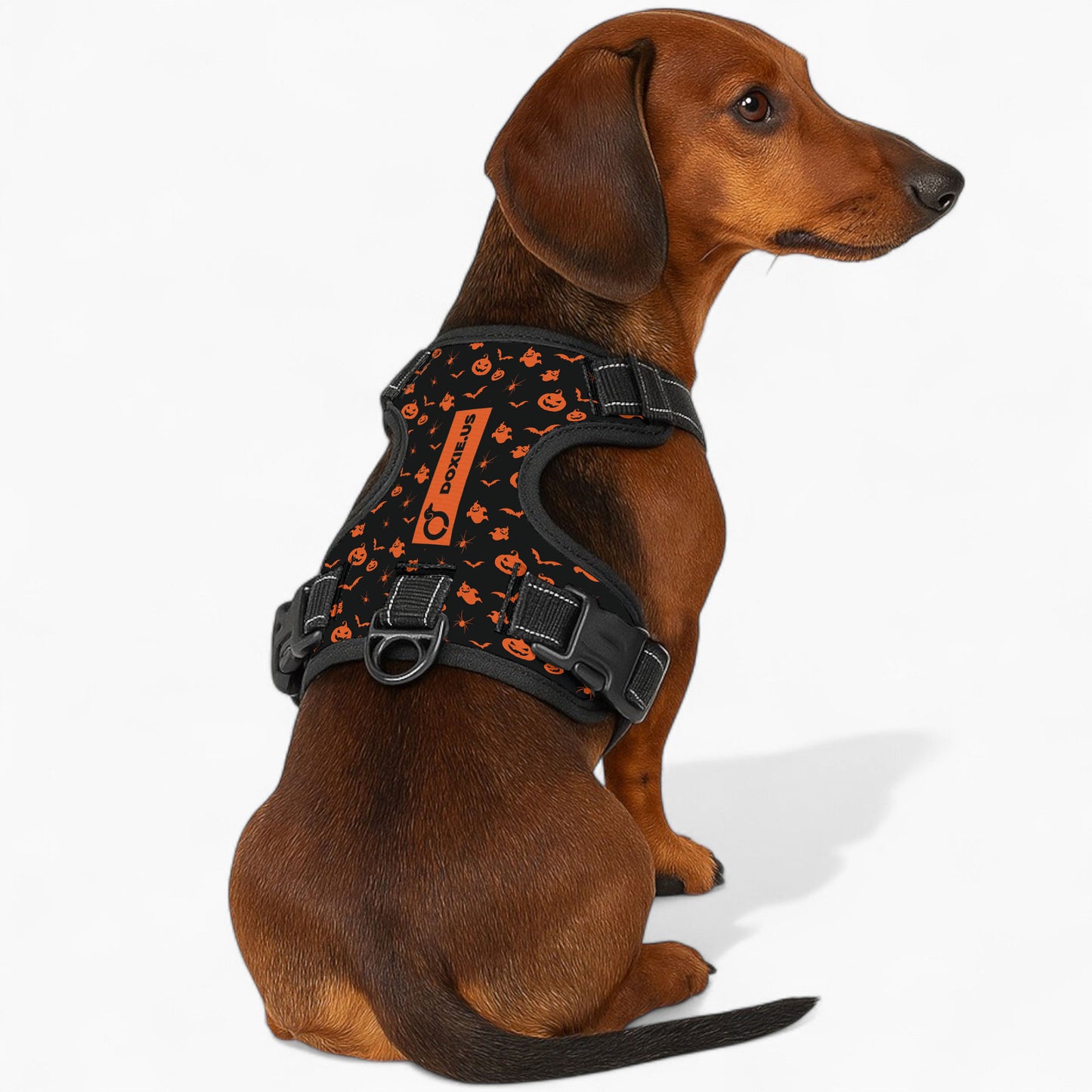 Maggie -  No-Pull Dachshund Dog Harness