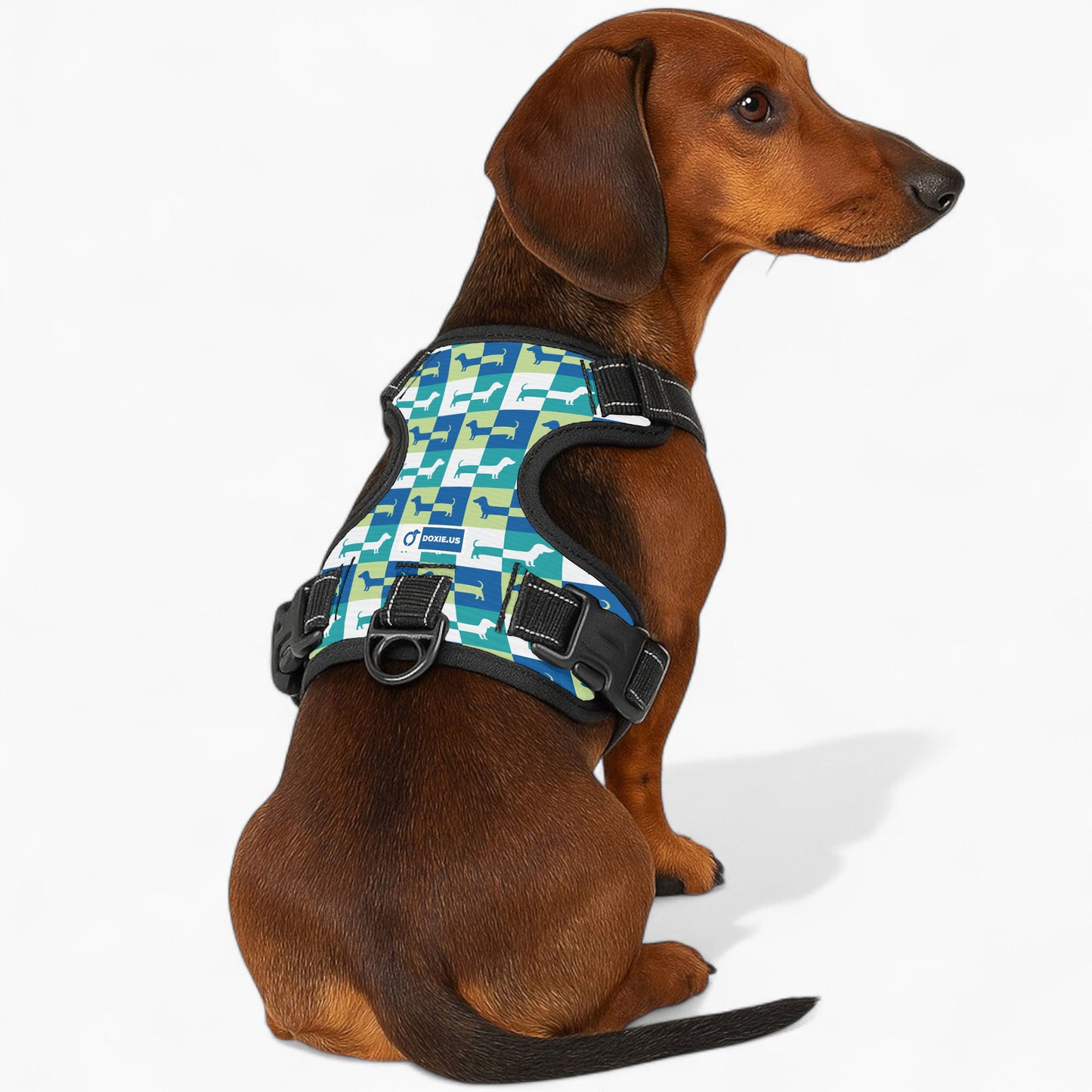 Hans -  No-Pull Dachshund Dog Harness