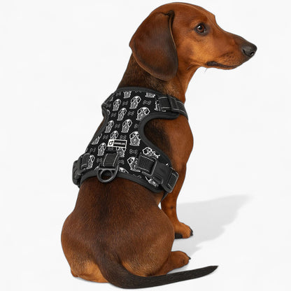 Ellie -  No-Pull Dachshund Dog Harness