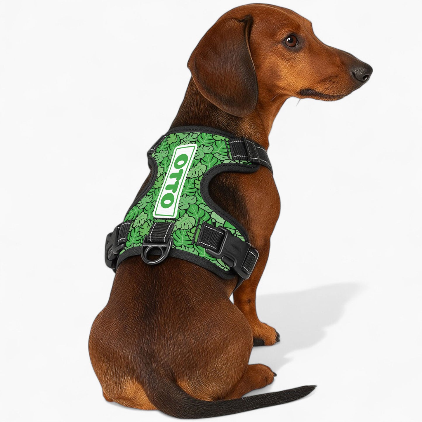 Heinz - Personalized No-Pull Dachshund Dog Harness