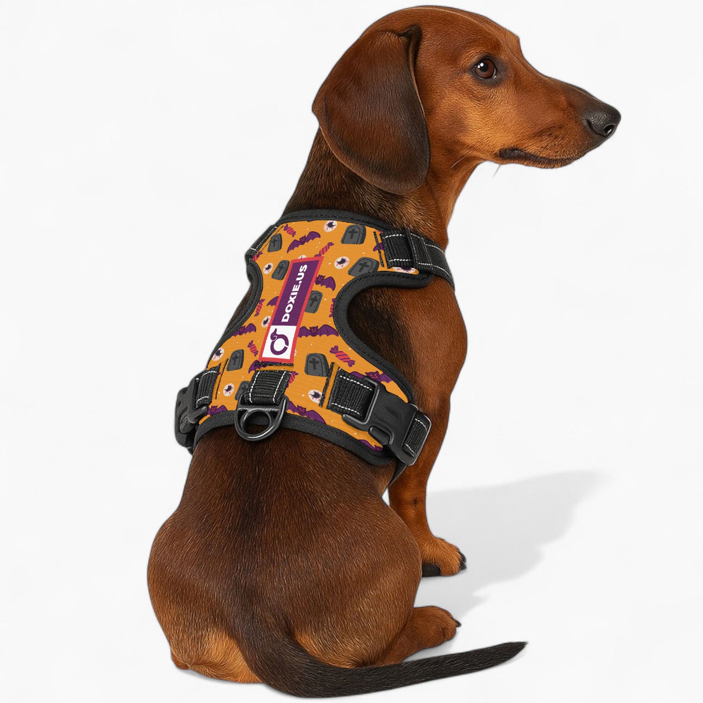 Maggie -  No-Pull Dachshund Dog Harness