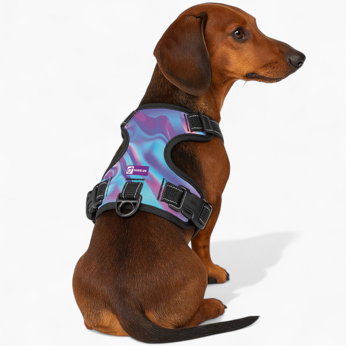 Betty -  No-Pull Dachshund Dog Harness