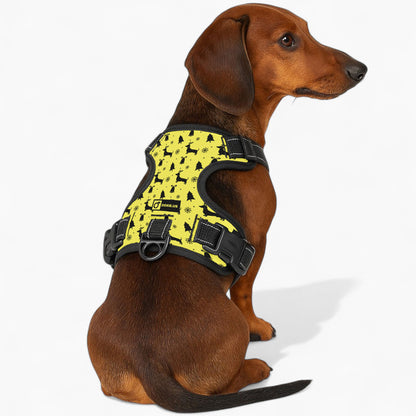 Gilbert -  No-Pull Dachshund Dog Harness