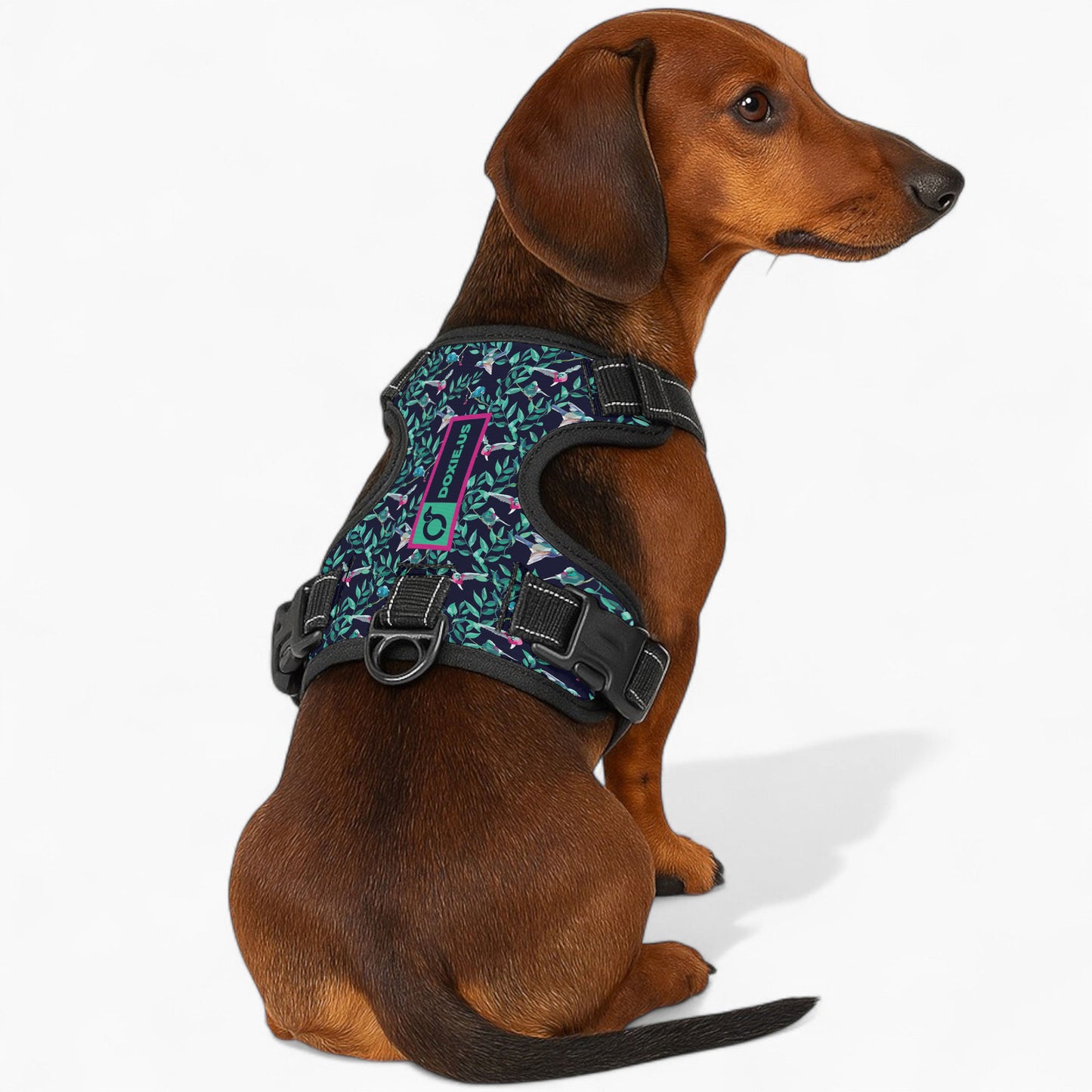 Sophie -  No-Pull Dachshund Dog Harness