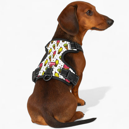 Frank -  No-Pull Dachshund Dog Harness