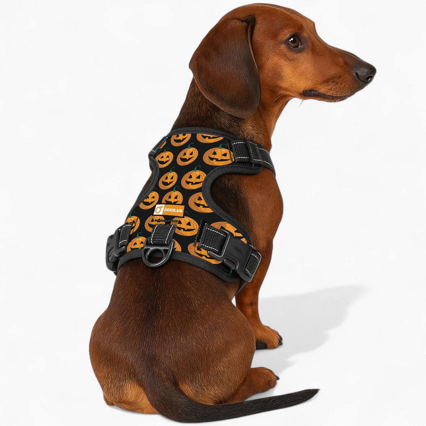 Stella -  No-Pull Dachshund Dog Harness