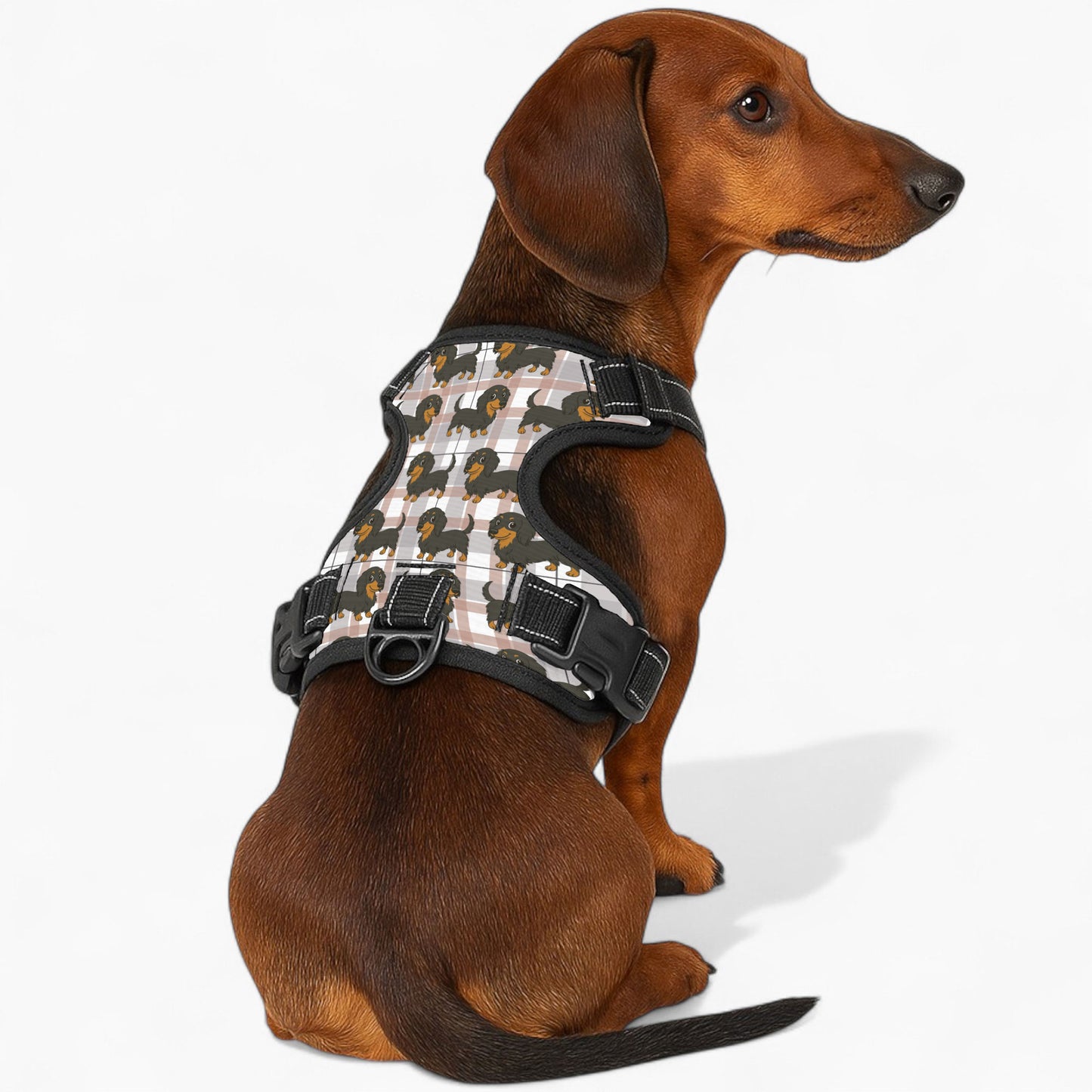 Thistle -  Personalized No-Pull Dachshund Dog Harness