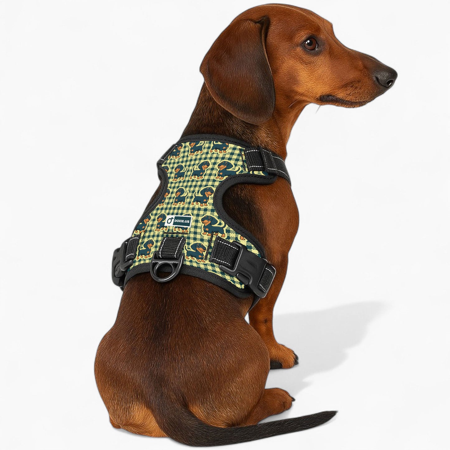 Snickers -  No-Pull Dachshund Dog Harness
