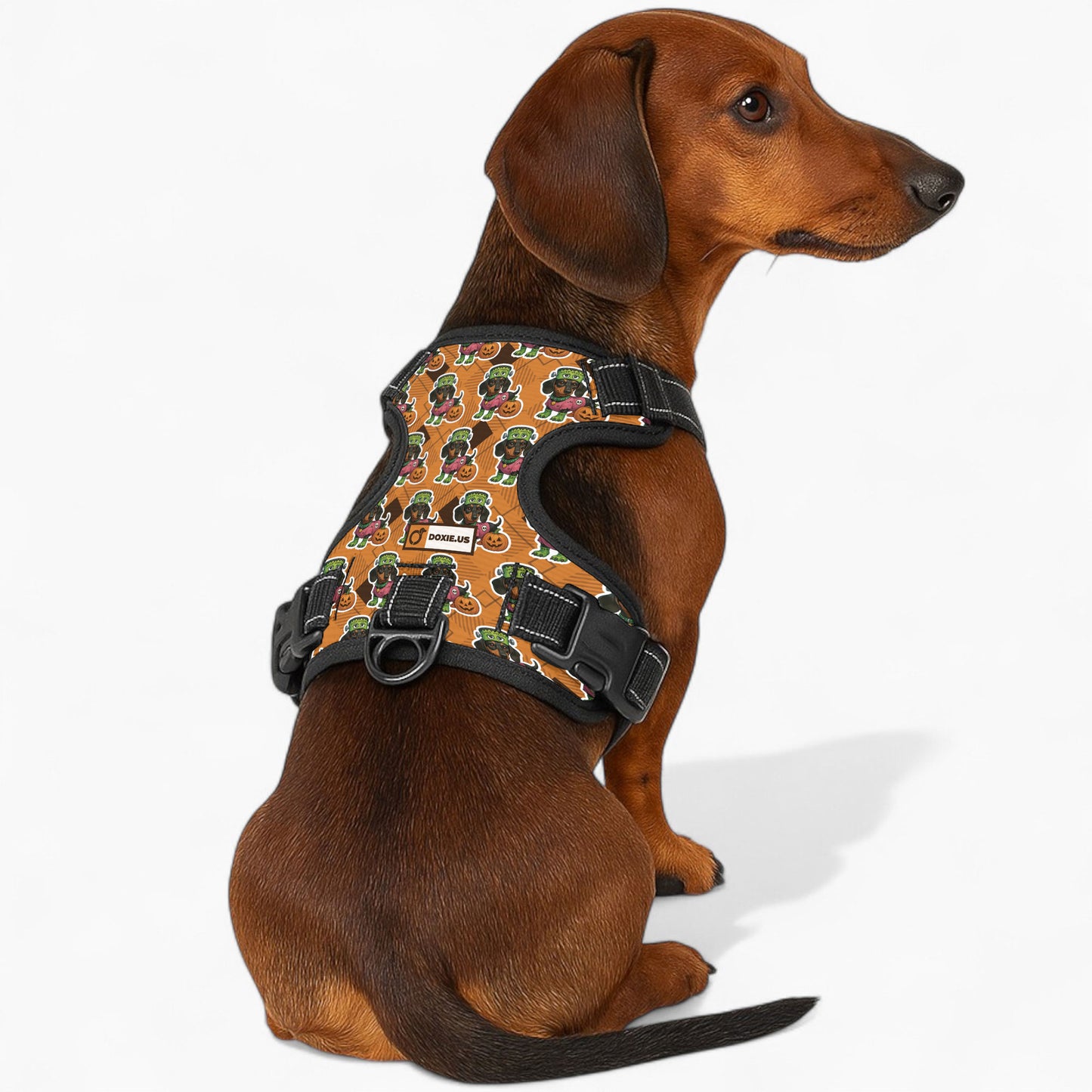 Willow -  No-Pull Dachshund Dog Harness
