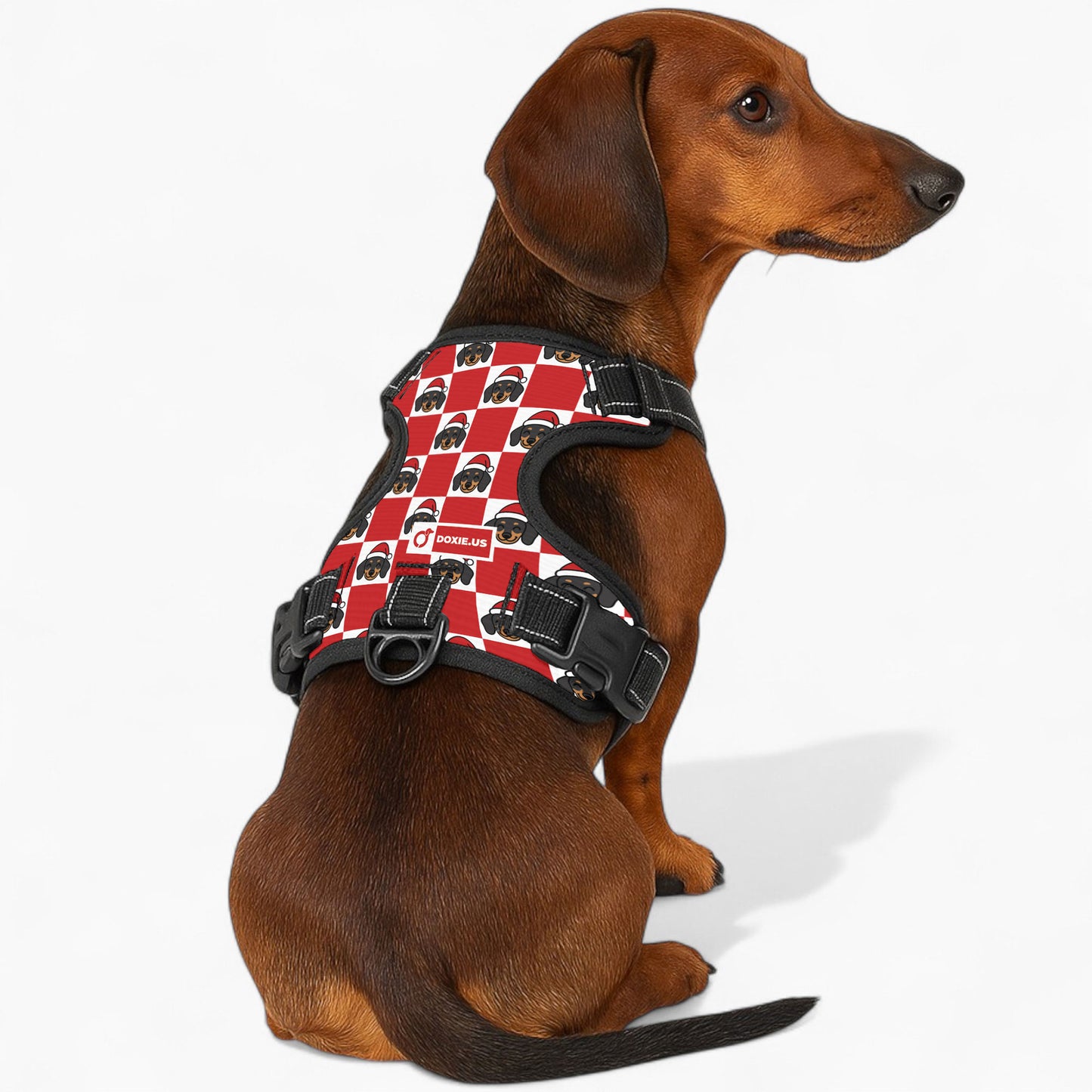 Nugget -  No-Pull Dachshund Dog Harness