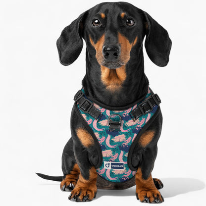 Johann -  No-Pull Dachshund Dog Harness