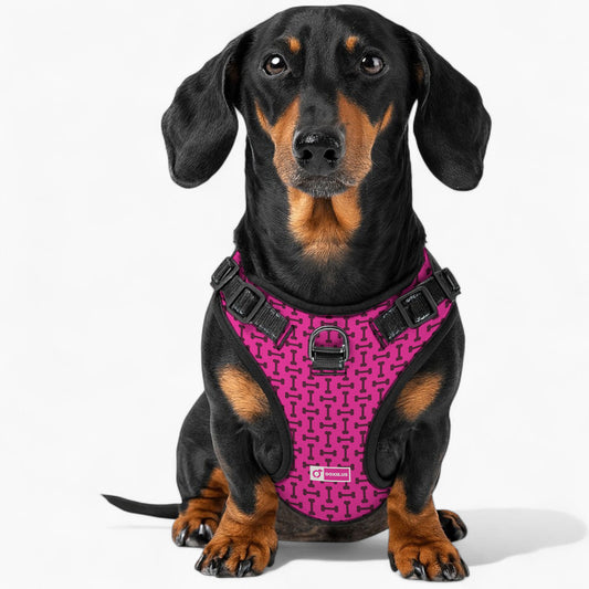 Waffles -  No-Pull Dachshund Dog Harness
