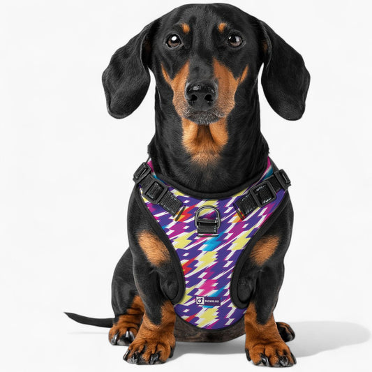 Ginger -  No-Pull Dachshund Dog Harness