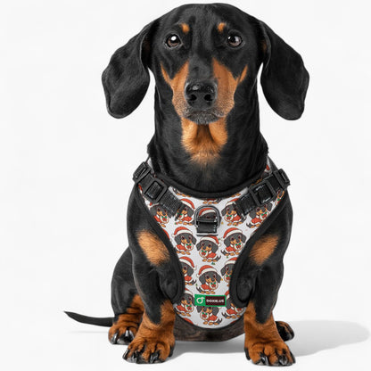 Kevin -  No-Pull Dachshund Dog Harness