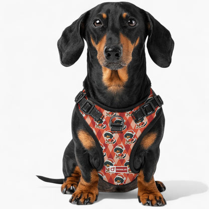 Jack -  No-Pull Dachshund Dog Harness