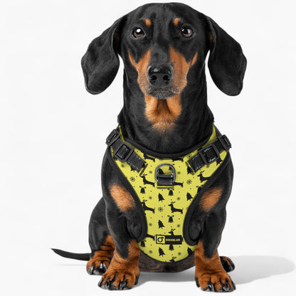 Gilbert -  No-Pull Dachshund Dog Harness