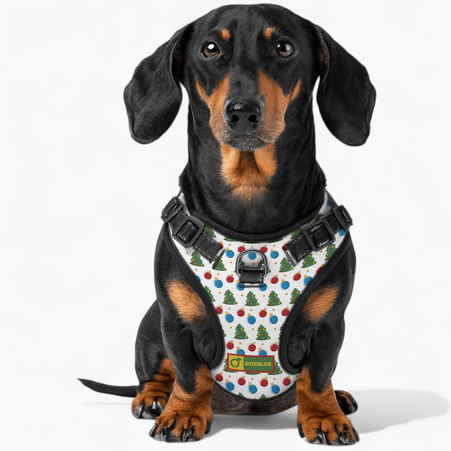 Martha -  No-Pull Dachshund Dog Harness
