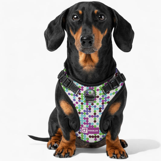 Duke -  No-Pull Dachshund Dog Harness